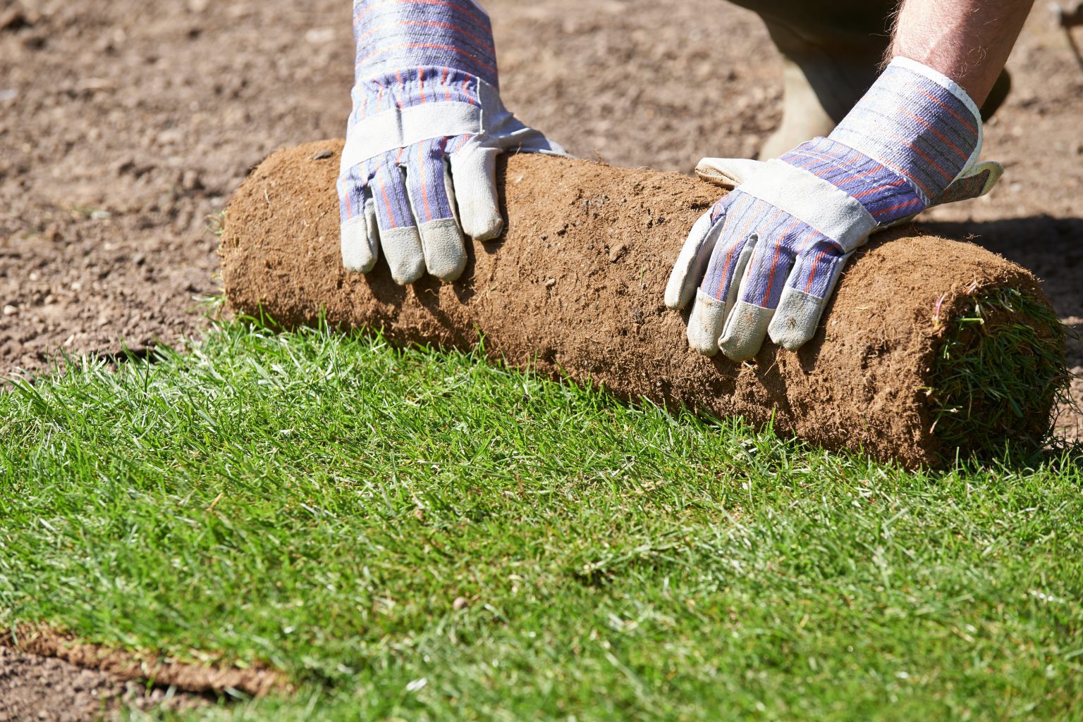 turfing-local-turf-suitable-for-your-area-competive-pricing