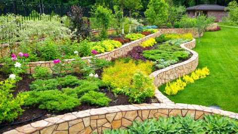 When to mulch borders and what to mulch borders with - Glos Gardens